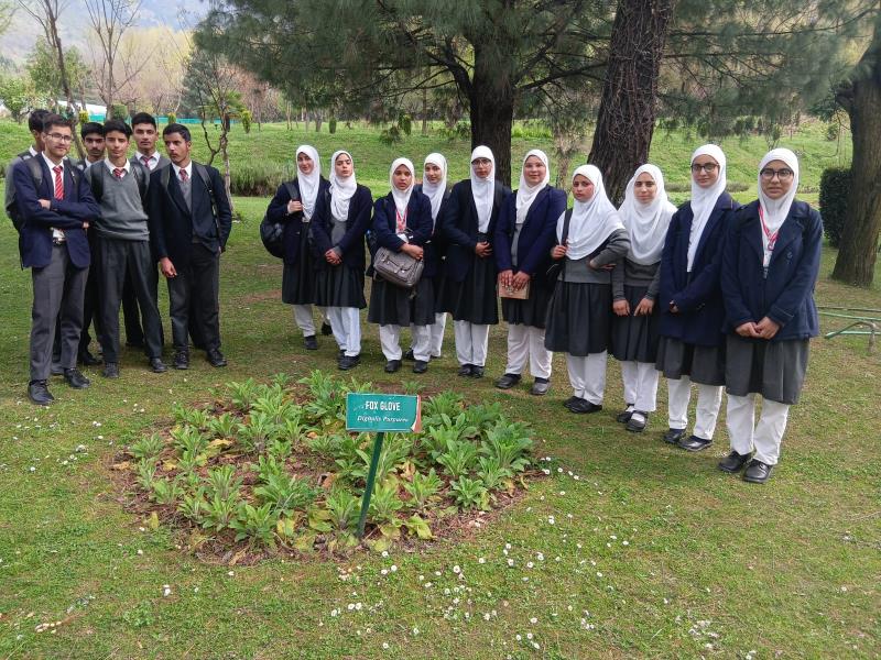 Students Learning & Fun Moments